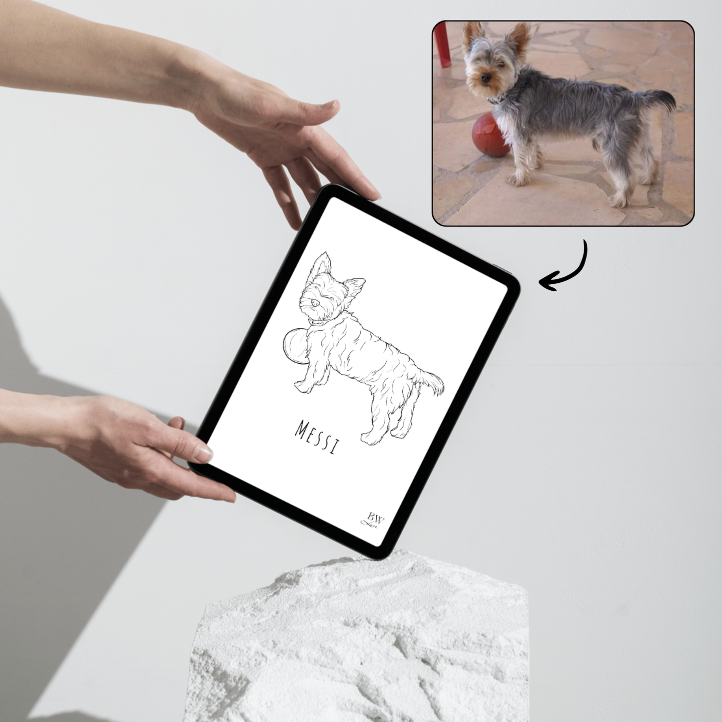 Ilustración personalizada - FORMATO DIGITAL